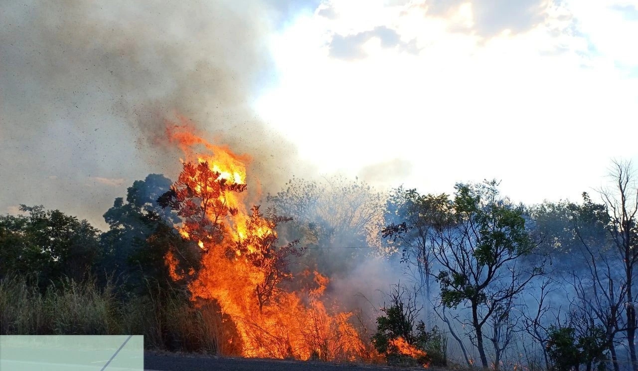 Imagem para o post: “B-R-O-BRÓ” E QUEIMADAS: O DESAFIO DO CALOR EXTREMO E O IMPACTO NA CONECTIVIDADE